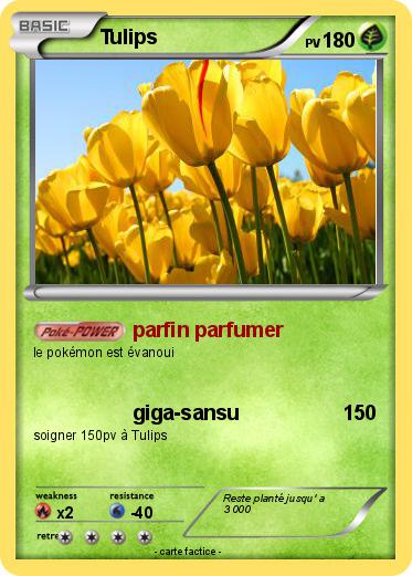 Pokemon Tulips