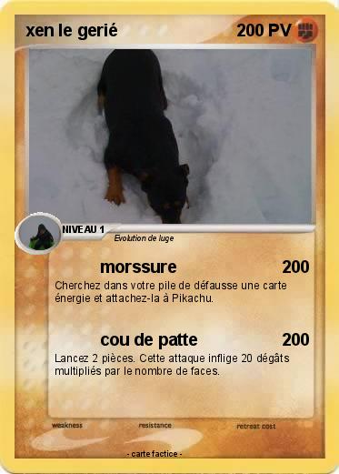 Pokemon xen le gerié