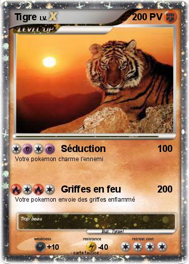 Pokemon Tigre