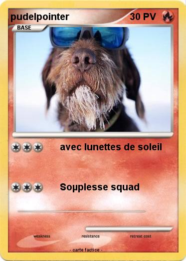 Pokemon pudelpointer