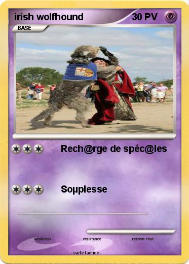Pokemon irish wolfhound