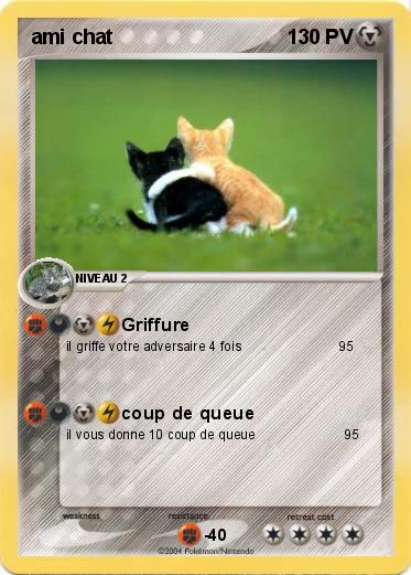 Pokemon ami chat