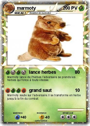 Pokemon marmoty