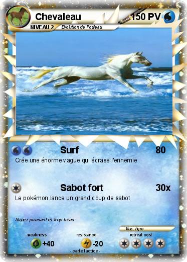 Pokemon Chevaleau