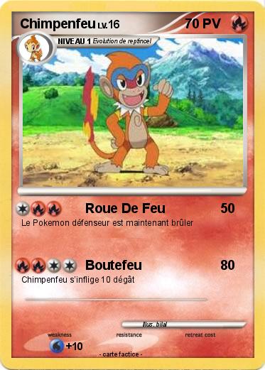 Pokemon Chimpenfeu