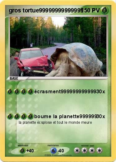 Pokemon gros tortue99999999999999