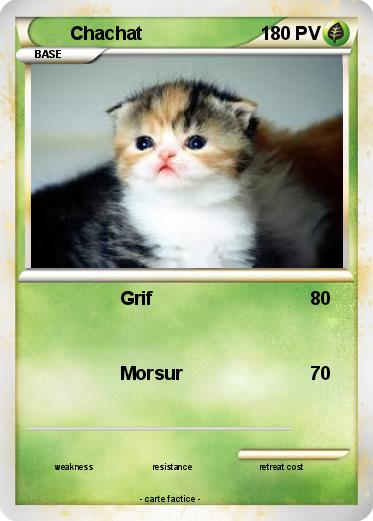 Pokemon Chachat