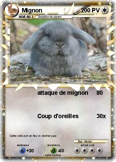 Pokemon Mignon