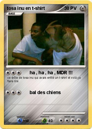 Pokemon tosa inu en t-shirt