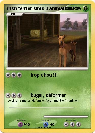 Pokemon irish terrier sims 3 animaux & cie