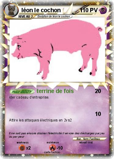 Pokemon léon le cochon