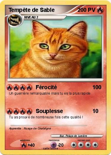 Pokemon Tempête de Sable