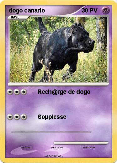 Pokemon dogo canario