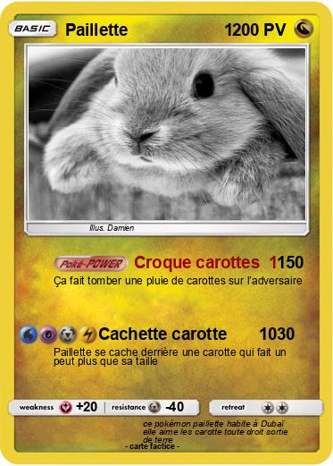 Pokemon Paillette                     1