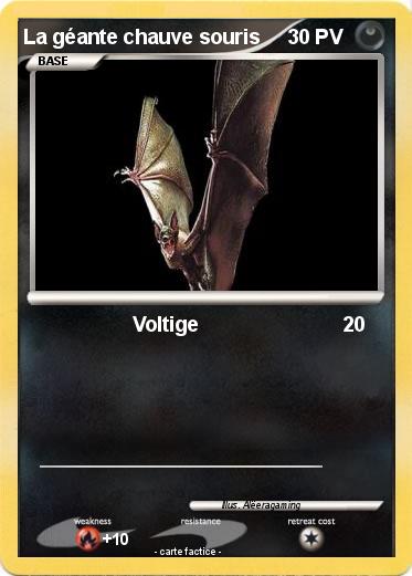Pokemon La géante chauve souris