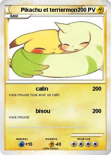 Pokemon Pikachu et terriermon