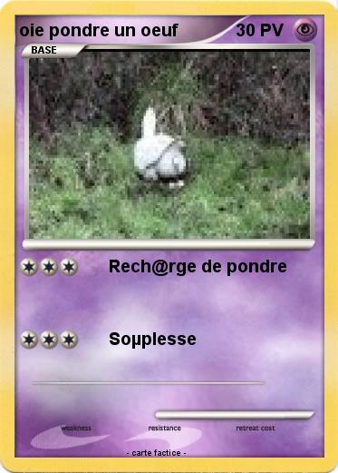 Pokemon oie pondre un oeuf