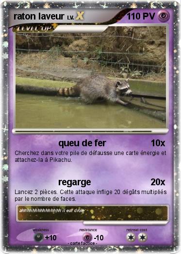Pokemon raton laveur