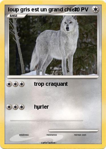 Pokemon loup gris est un grand chien