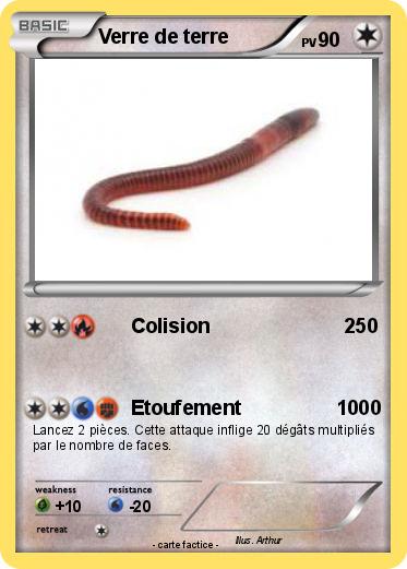 Pokemon Verre de terre