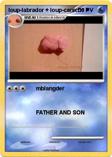 Pokemon loup-labrador + loup-caniche =