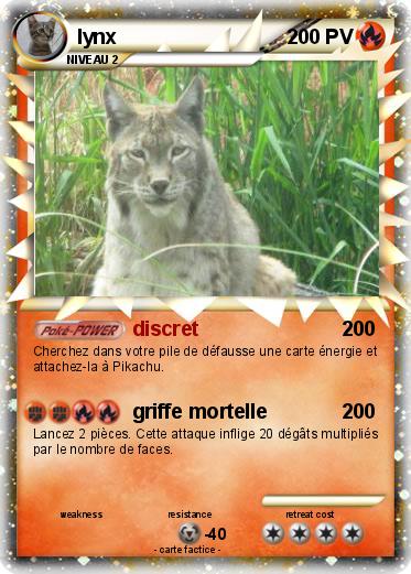 Pokemon lynx