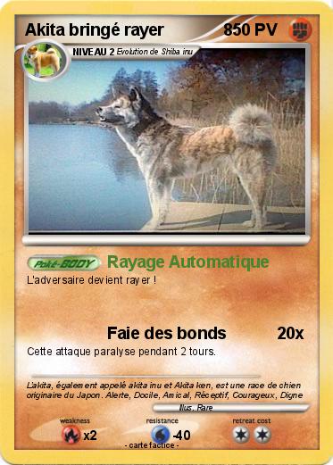 Pokemon Akita bringé rayer             8