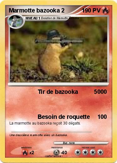 Pokemon Marmotte bazooka 2