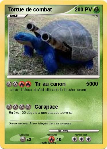 Pokemon Tortue de combat