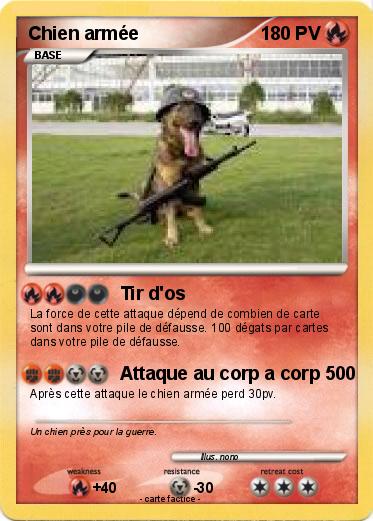 Pokemon Chien armée
