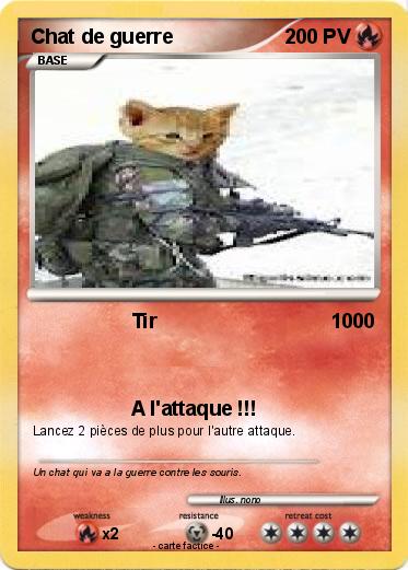 Pokemon Chat de guerre