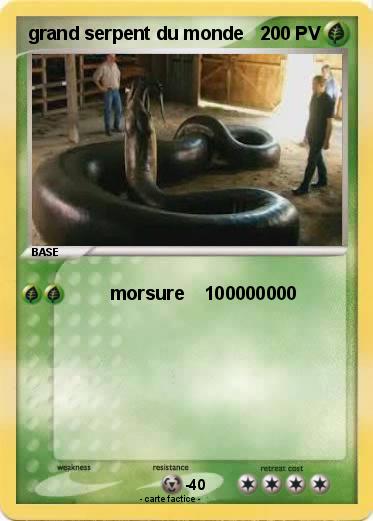 Pokemon grand serpent du monde