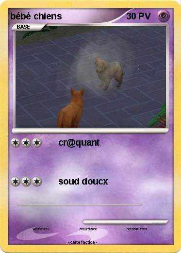 Pokemon bébé chiens