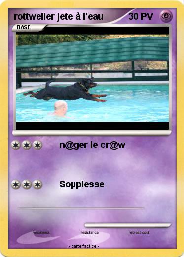 Pokemon rottweiler jete à l'eau