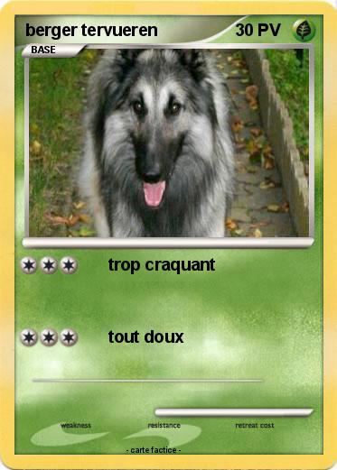 Pokemon berger tervueren