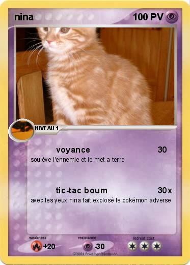 Pokemon nina