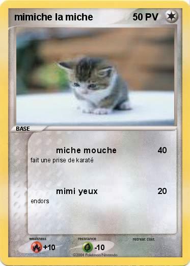 Pokemon mimiche la miche