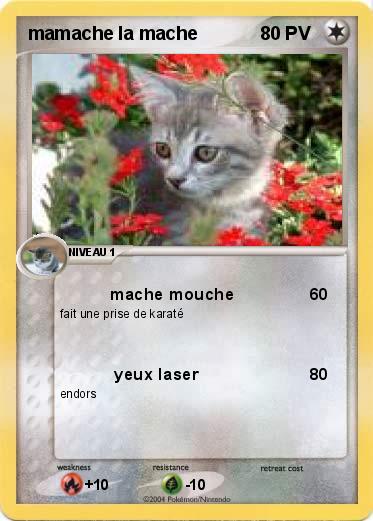 Pokemon mamache la mache