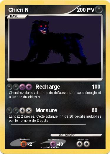 Pokemon Chien N