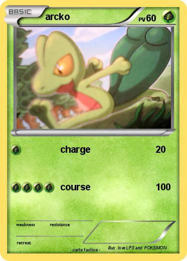 Pokemon arcko