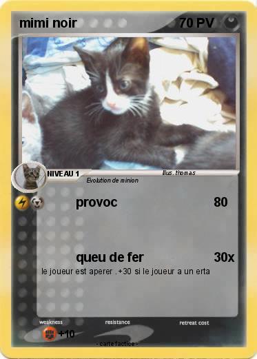 Pokemon mimi noir