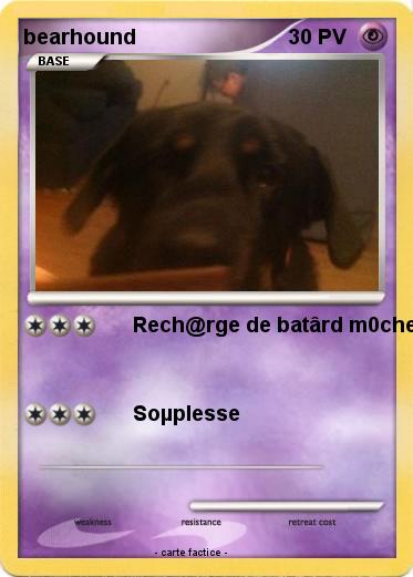 Pokemon bearhound