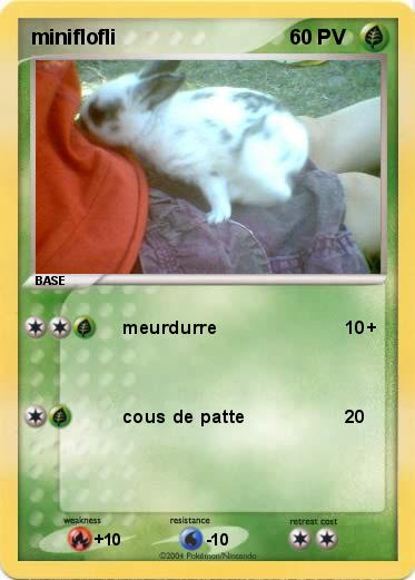 Pokemon miniflofli