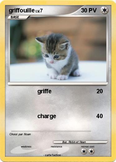 Pokemon griffouille