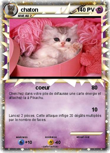 Pokemon chaton