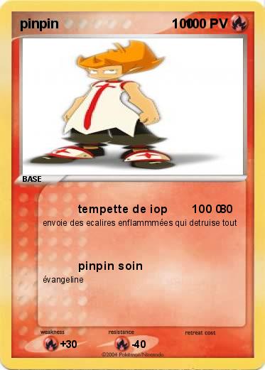 Pokemon pinpin                               100