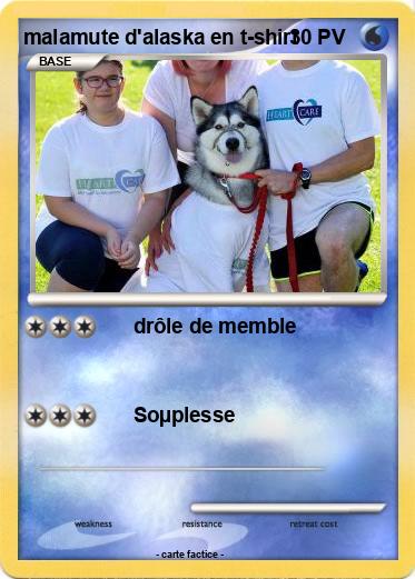 Pokemon malamute d'alaska en t-shirt