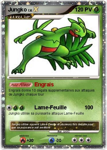 Pokemon Jungko