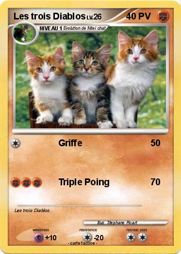 Pokemon Les trois Diablos