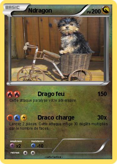 Pokemon Ndragon